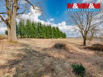 Prodej pozemku pro bydlení, Rokytnice v Orlických horách, 5453 m2
