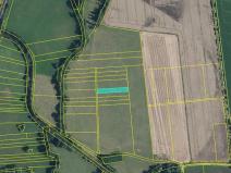 Dražba louky, Skřivany, 1440 m2