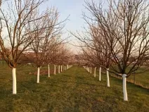 Prodej pozemku pro bydlení, Uherský Brod, Trnková, 1000 m2