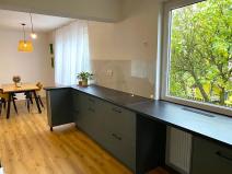 Pronájem rodinného domu, Sovínky, Sadová, 250 m2