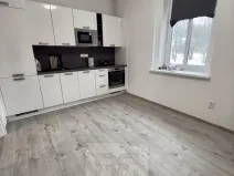 Pronájem bytu 1+1, Mělník, Pražská, 45 m2