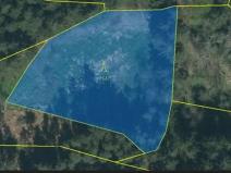 Prodej podílu lesa, Smilovy Hory, 2675 m2