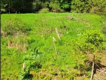 Prodej podílu lesa, Smilovy Hory, 2675 m2