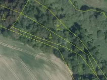 Prodej podílu lesa, Nový Rychnov, 6035 m2