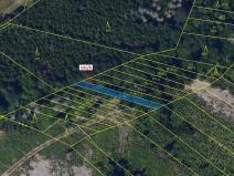 Dražba lesa, Havlíčkův Brod, 212 m2