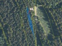 Dražba lesa, Lačnov, 849 m2