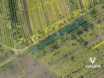 Prodej pole, Břeclav, 2053 m2