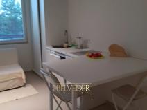 Pronájem bytu 1+kk, Teplice, Petra Jilemnického, 26 m2