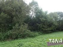 Prodej pozemku pro bydlení, Mladějov, 382 m2