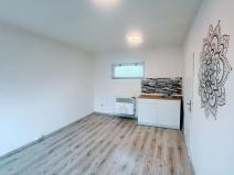 Pronájem obchodního prostoru, Plzeň, Mánesova, 17 m2