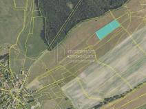 Prodej pole, Hvozdec, 2887 m2