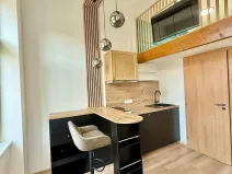 Pronájem bytu 1+kk, Praha, Sokolská, 17 m2