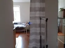 Pronájem bytu 1+kk, Praha - Michle, Čapkova, 20 m2