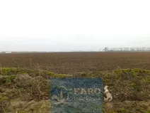 Prodej pole, Dyje, 8295 m2