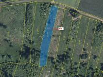 Dražba lesa, Chotěbudice, 1497 m2