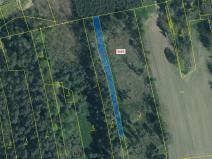 Dražba lesa, Koloveč, 703 m2