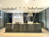 Pronájem kanceláře, Praha - Holešovice, Dělnická, 441 m2