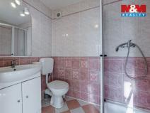 Pronájem bytu 1+kk, Cheb, Goethova, 30 m2