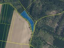 Prodej lesa, Bechlín, 31569 m2