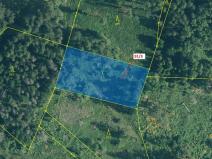 Dražba lesa, Pačejov, 1958 m2