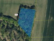 Dražba lesa, Vlčí Habřina, 4658 m2