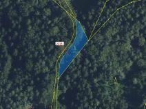 Dražba lesa, Písečná, 548 m2