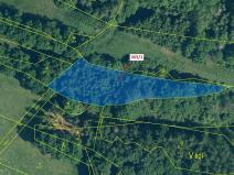 Dražba lesa, Újezd u Plánice, 2439 m2