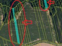 Prodej lesa, Lhota, 6286 m2