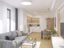 Prodej bytu 2+kk, Brno, Řípská, 47 m2