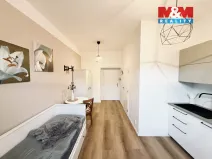 Pronájem bytu 1+kk, Praha - Košíře, U Tyrše, 19 m2