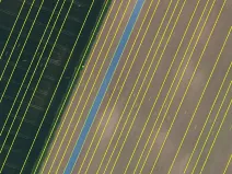 Prodej pole, Hustopeče, 4219 m2