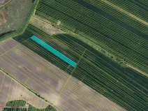 Prodej pole, Šakvice, 28679 m2