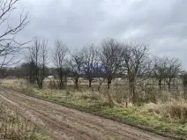 Prodej pole, Veselí nad Moravou, 3405 m2