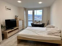 Prodej bytu 1+kk, Rožnov pod Radhoštěm, Meziříčská, 27 m2