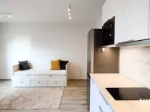 Pronájem bytu 1+kk, Praha - Chodov, Šternovská, 30 m2