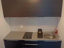 Pronájem bytu 1+kk, Brno, Hlinky, 44 m2