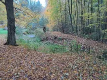 Prodej lesa, Chlístovice, 1161 m2