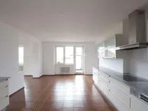 Pronájem bytu 6+kk a větší, Praha - Braník, Psohlavců, 290 m2