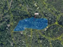 Dražba lesa, Zubrnice, 8765 m2