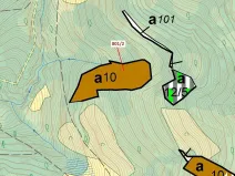 Dražba lesa, Zubrnice, 8765 m2