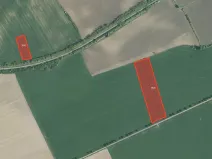 Prodej pole, Ivanovice na Hané, 15081 m2