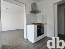 Pronájem bytu 2+1, Karlovy Vary, Slovanská, 54 m2