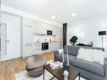 Pronájem bytu 2+kk, Praha - Vysočany, Odkolkova, 58 m2