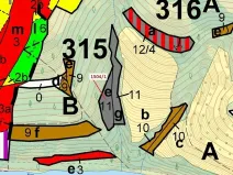 Dražba lesa, Hovězí, 2626 m2
