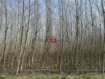 Prodej pole, Doubrava, 59227 m2