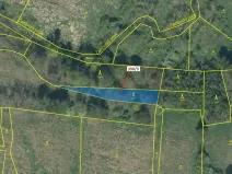 Dražba lesa, Psárov, 1011 m2