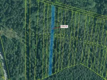 Dražba lesa, Stehlovice, 1983 m2