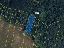 Dražba lesa, Přemyslovice, 1381 m2