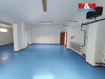Pronájem garáže, Ostrava - Přívoz, Newtonova, 140 m2