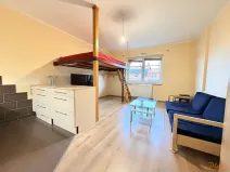Pronájem bytu 1+kk, Holubice, Buková, 40 m2